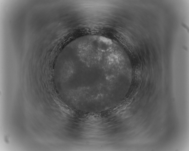 X0000095110865200712211319