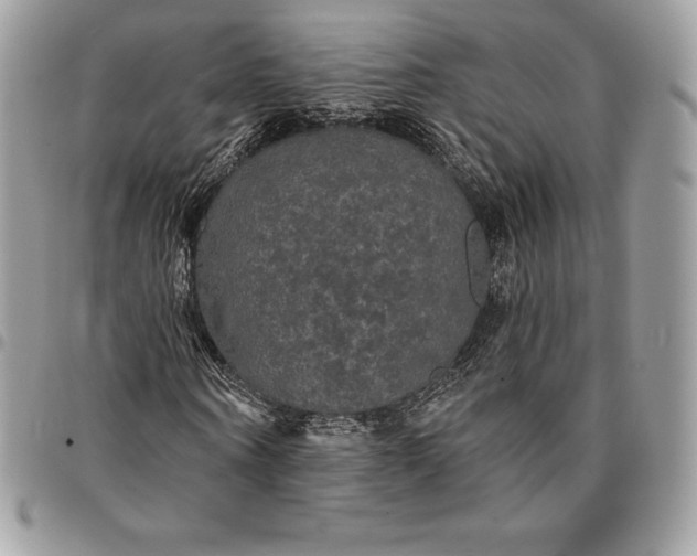 X0000095110866200712211319