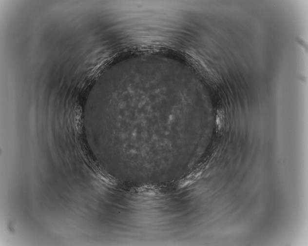 X0000095110867200712211319