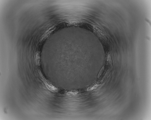 X0000095110868200712211319