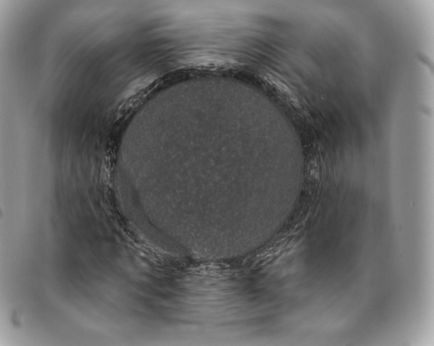 X0000095110869200712211319