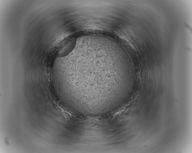 X0000095110870200712211319