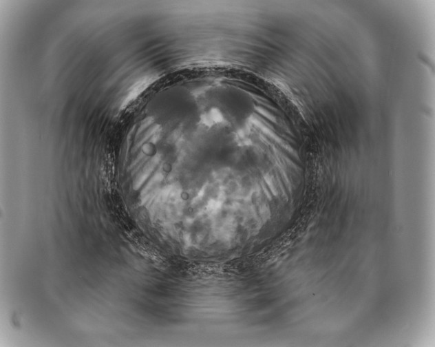 X0000095110871200712211319