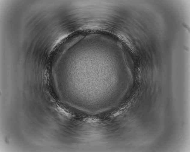 X0000095110872200712211319