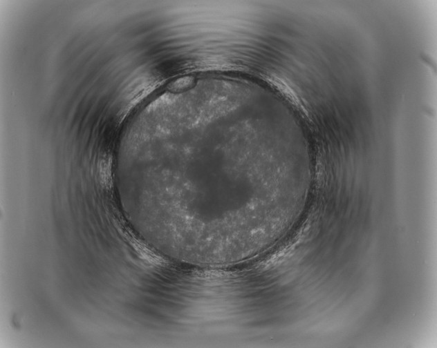 X0000095110873200712211319