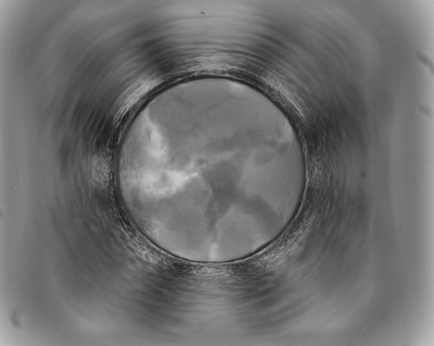 X0000095110874200712211319