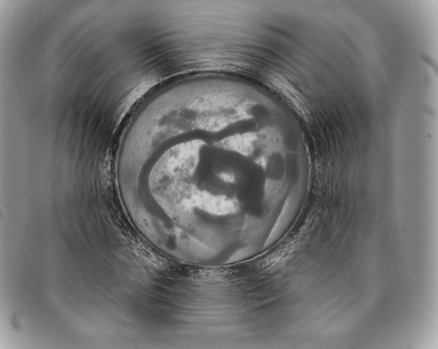 X0000095110875200712211319