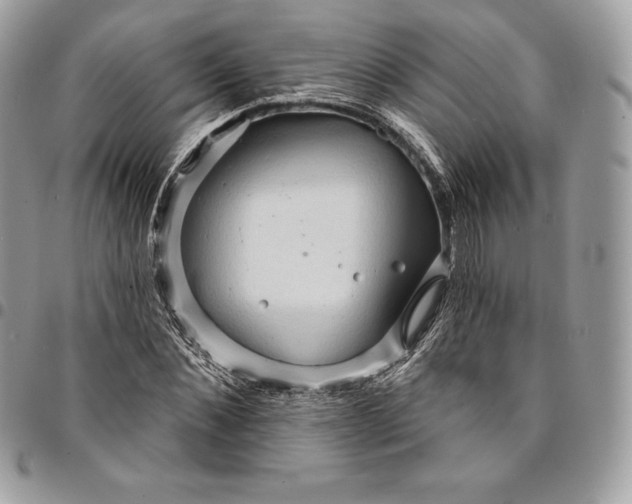 X0000095110876200712211319