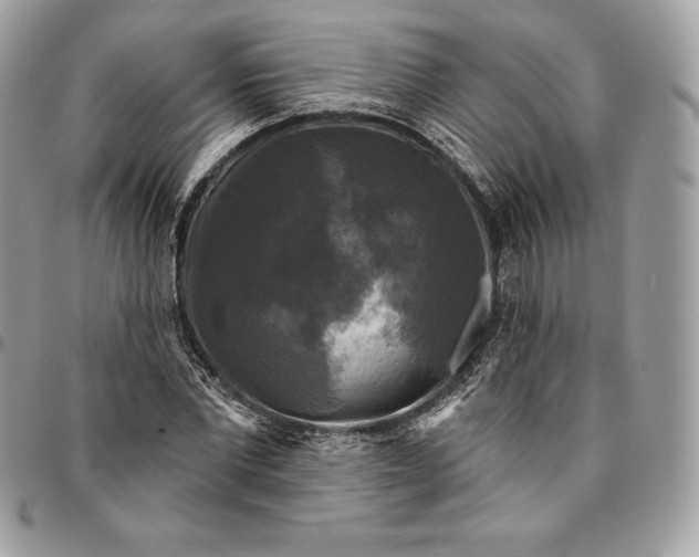 X0000095110877200712211319