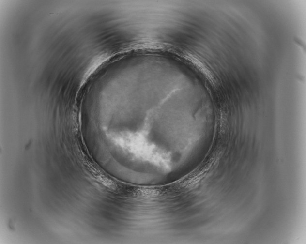 X0000095110878200712211319