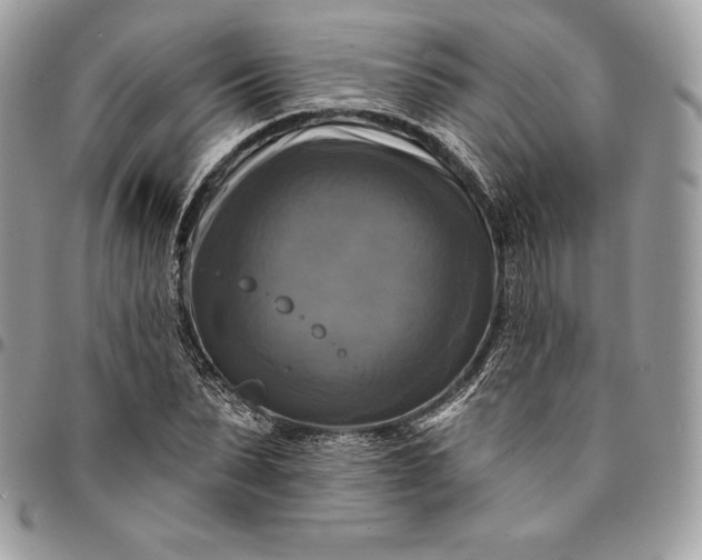 X0000095110879200712211319