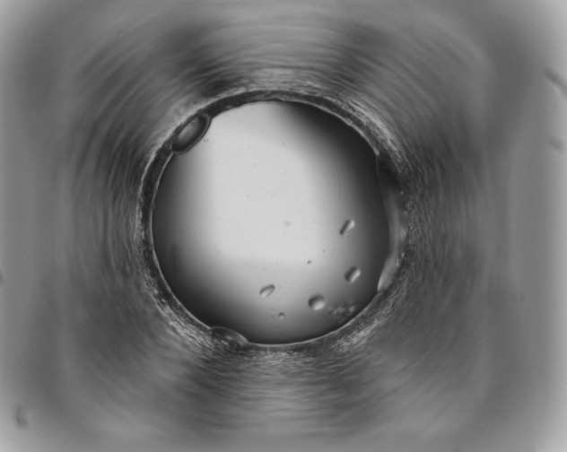 X0000095110880200712211319