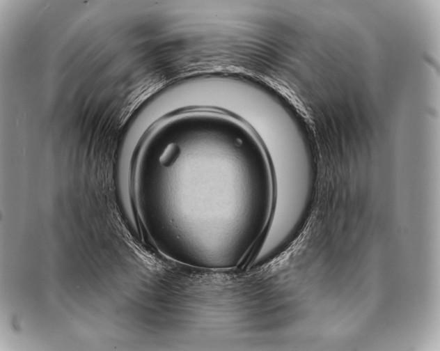 X0000095110881200712211319