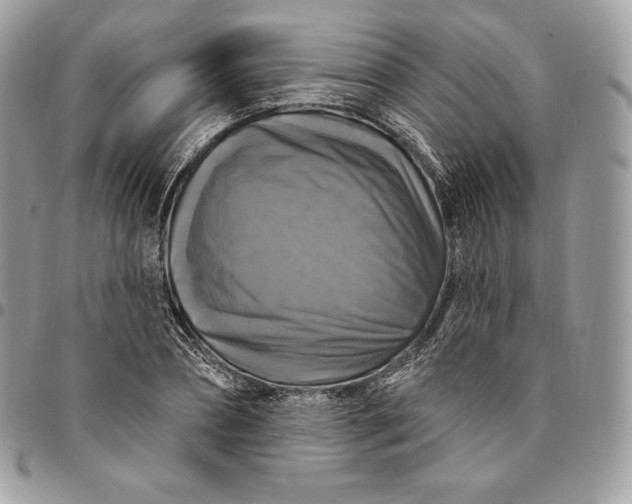 X0000095110882200712211318