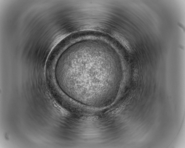 X0000095110884200712211318