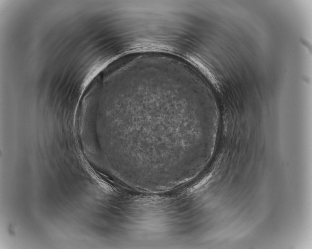 X0000095110885200712211318