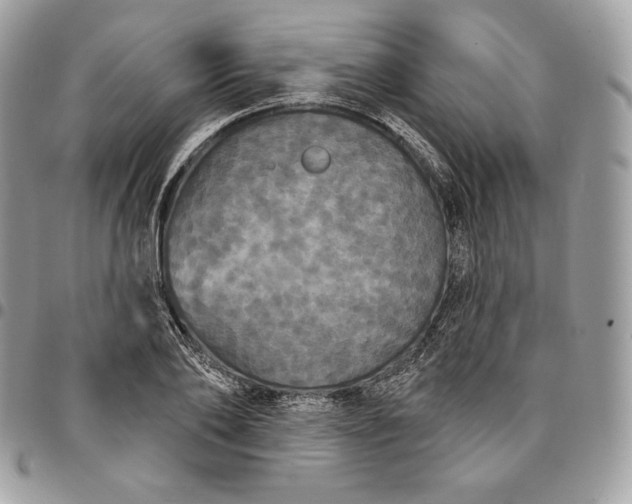 X0000095110886200712211318