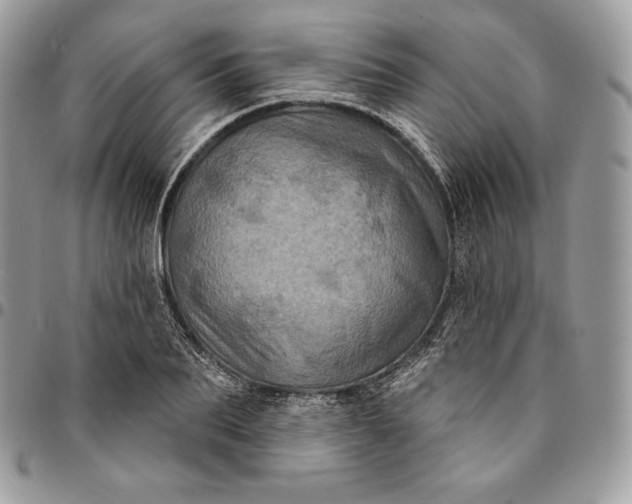 X0000095110887200712211318