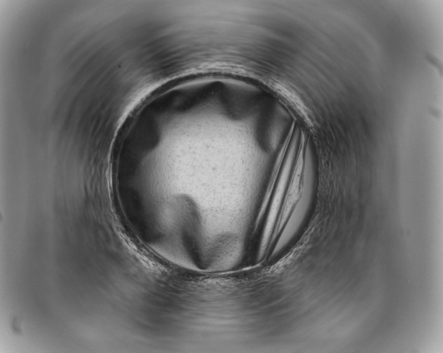 X0000095110888200712211318