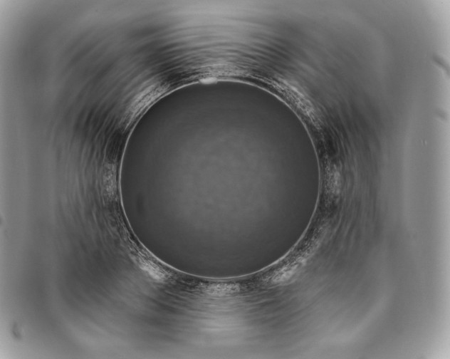 X0000095110889200712211318