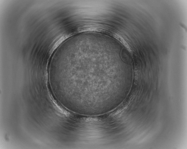 X0000095110890200712211318