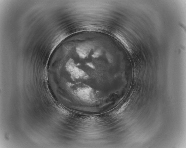 X0000095110891200712211318