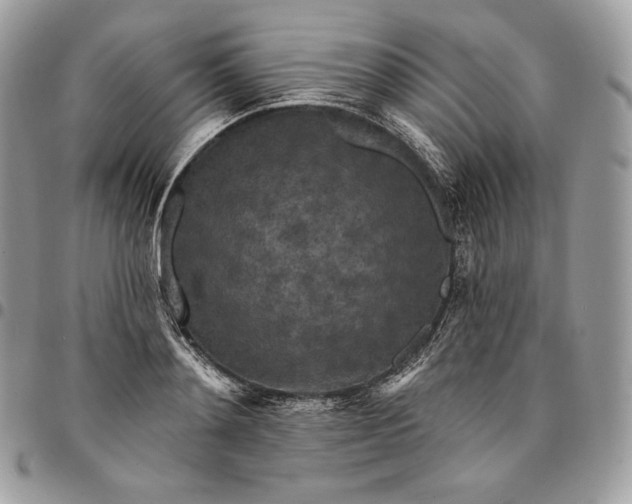 X0000095110892200712211318