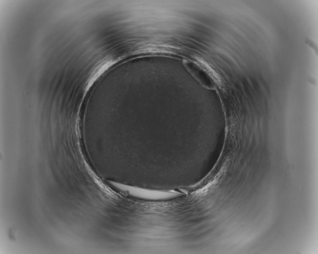 X0000095110893200712211318