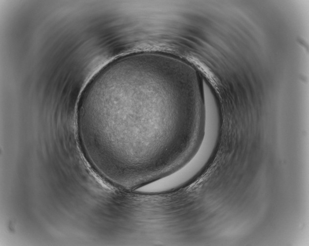 X0000095110894200712211318