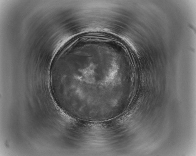 X0000095110895200712211318