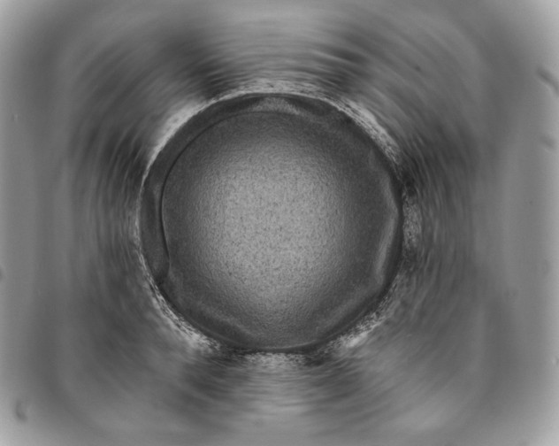 X0000095110896200712211318