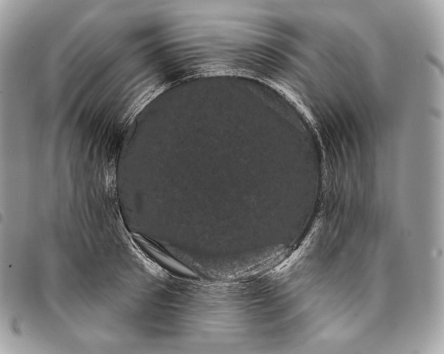 X0000095110897200712211318