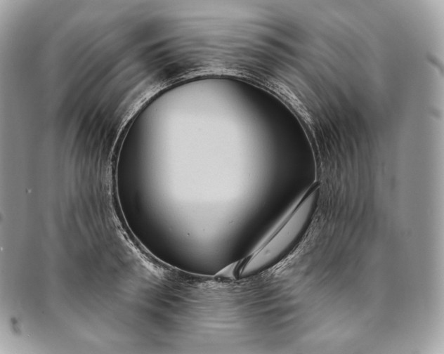 X0000095110898200712211318