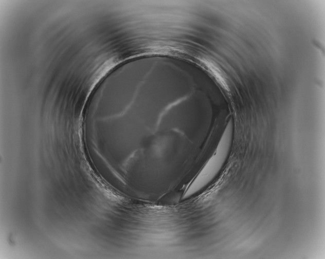 X0000095110899200712211318