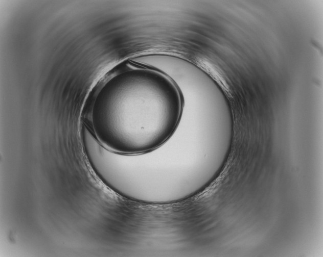 X0000095110900200712211318