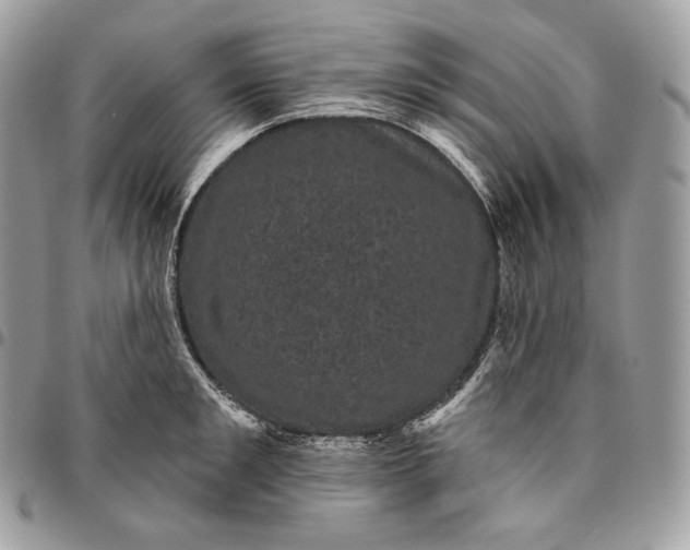 X0000095110901200712211318