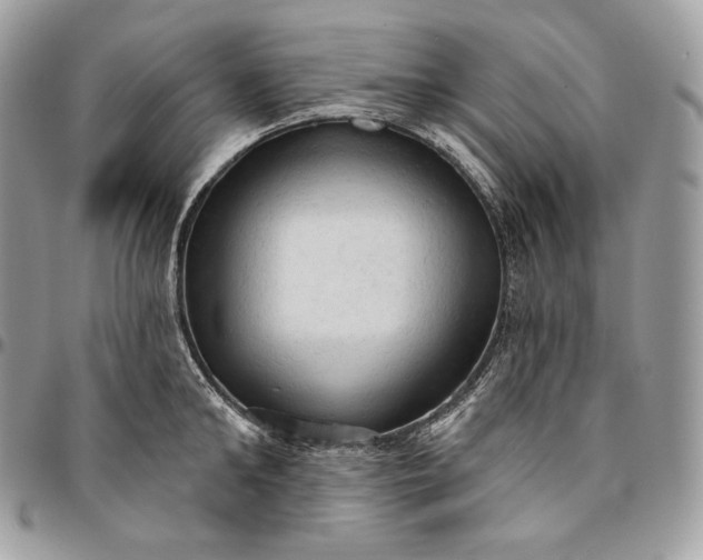 X0000095110902200712211318