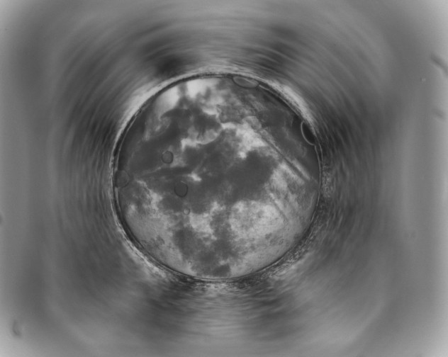 X0000095110903200712211318