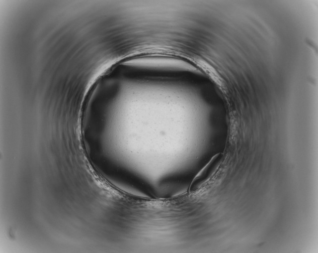 X0000095110904200712211318