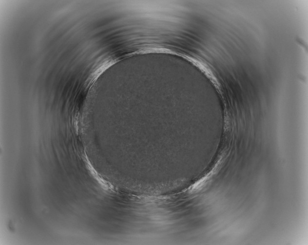 X0000095110905200712211318