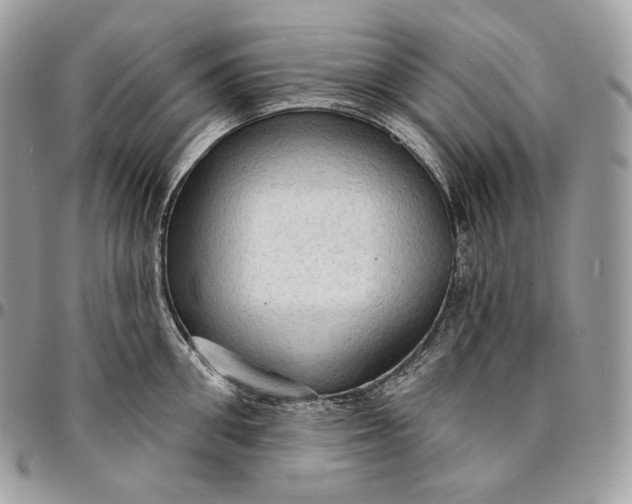 X0000095110906200712211318