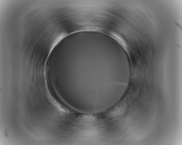 X0000095110907200712211318