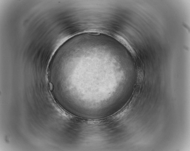 X0000095110908200712211318