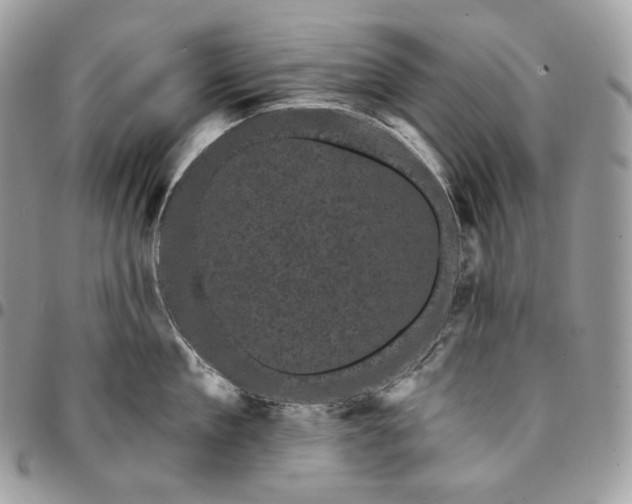 X0000095110909200712211318