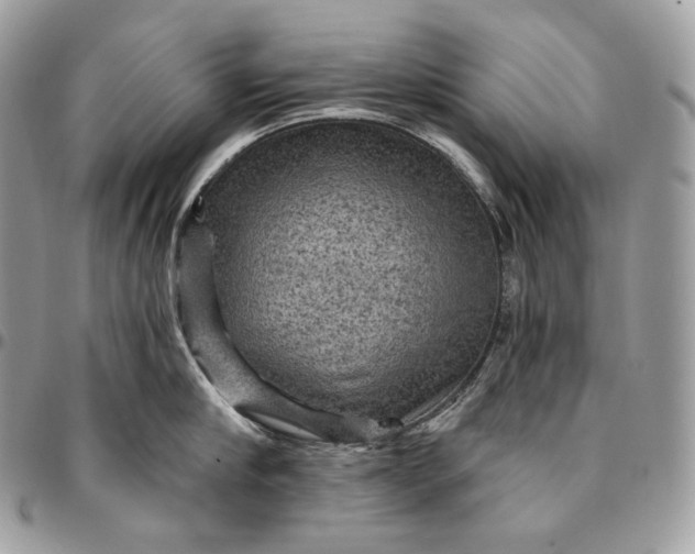 X0000095110910200712211318