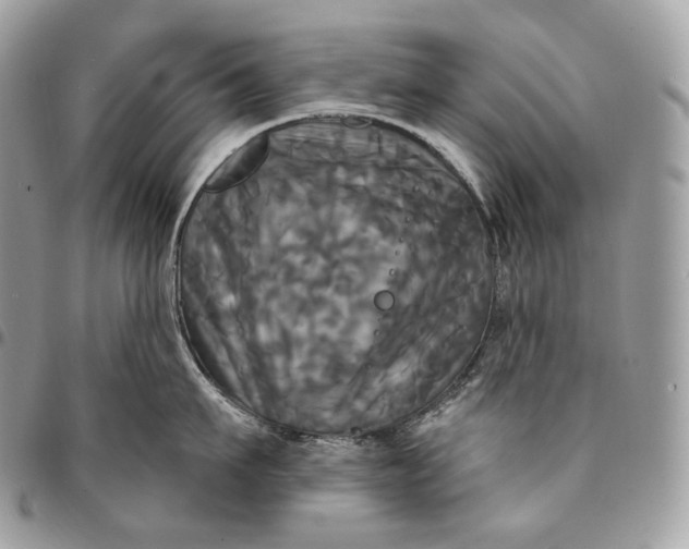 X0000095110911200712211318