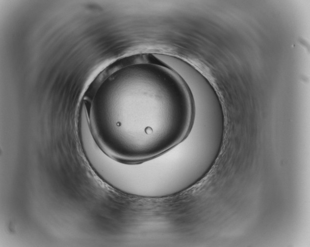 X0000095110912200712211318