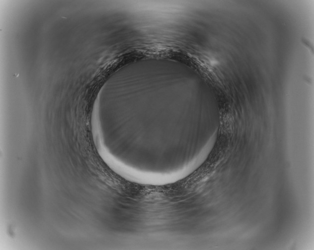 X0000095110913200712211317