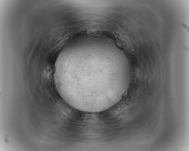 X0000095110914200712211317