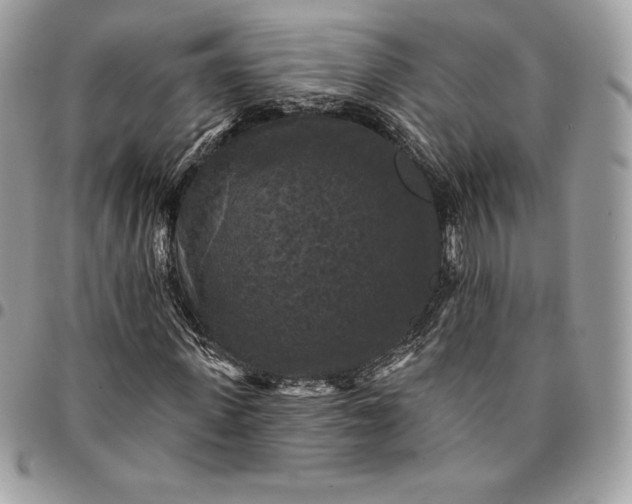 X0000095110915200712211317